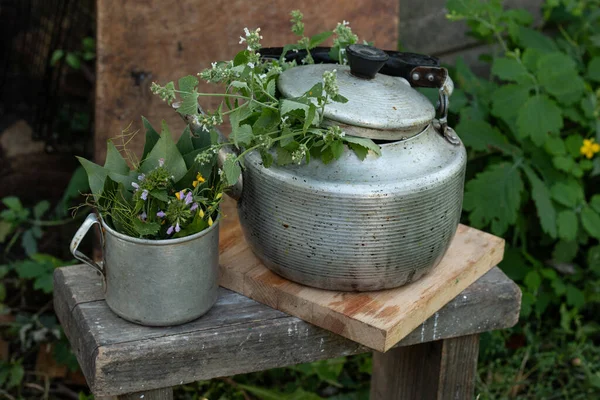 Tetera Aluminio Vieja Taza Con Menta Verde Recién Cortada Naturaleza Imagen De Stock