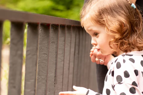 Kleine Schöne Rothaarige Mädchen Mit Lockigem Haar Einem Kleid Hält — Stockfoto