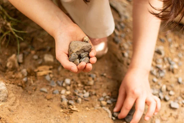 Маленькі Дитячі Руки Збирають Камені Березі Ставка — стокове фото