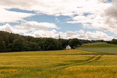 Almanya 'nın Ruhr bölgesinin güzel yaz manzarası. Tepedeki buğday tarlasına ve ormana karşı küçük bir ev.