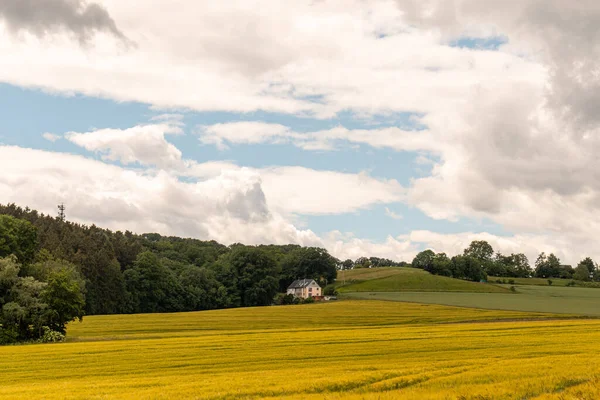 ドイツのルール地方の美しい夏の風景 丘の前にある小さな畑や森を背景にした小さな家 — ストック写真