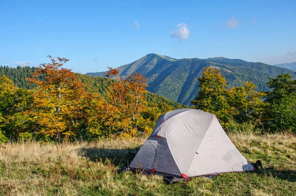 Karpat Dağları 'nın yamacında yeşil bir çadır var. Sarı sonbahar ağaçlarının zemininde.