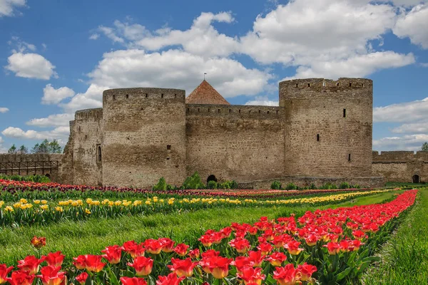 Forntida Slott Ruiner Mot Bakgrund Tulpaner Och Vacker Himmel Belgorod — Stockfoto