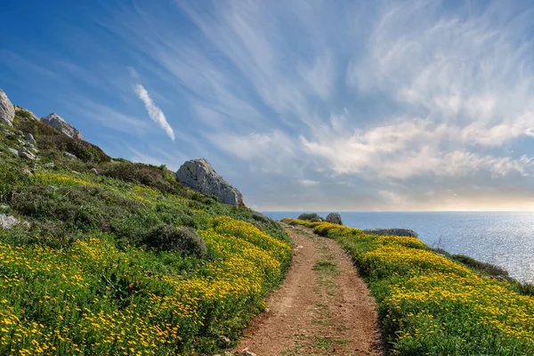 Kıbrıs 'ta Akdeniz boyunca çiçeklerin arasından geçen güzel toprak yol