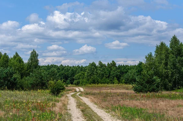 Camino Arenoso Bien Pisado Través Bosque Pinos Abedul Cielo Azul — Foto de Stock