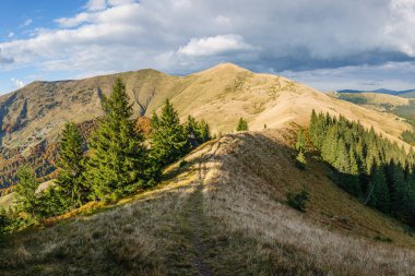 The autumn ridge of Pishkonya in the Carpathians 
