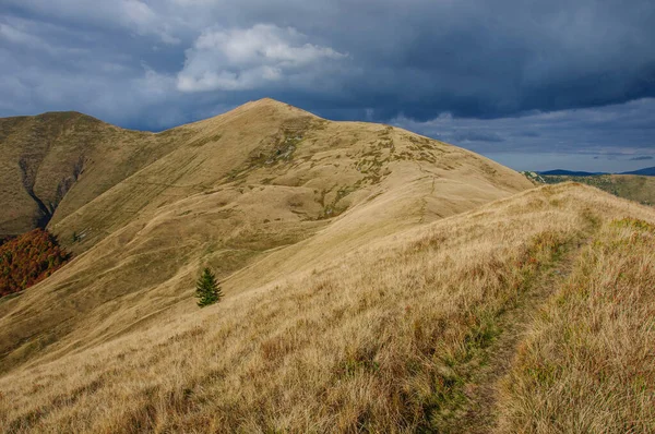 Autumn Ridge Pishkonya Carpathians — Fotografia de Stock