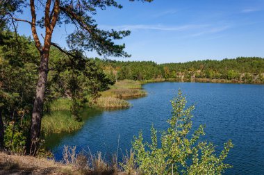 Kıyılarda çam ağaçları ve mavi gökyüzü, Korostyshiv, Ukrayna 'da taşan granit ocağı