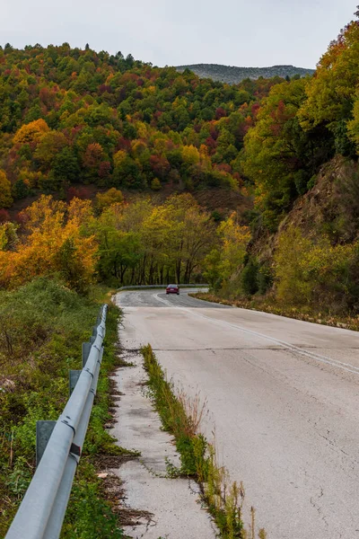 Vista Rua Floresta Com Cores Outono Perto — Fotografia de Stock