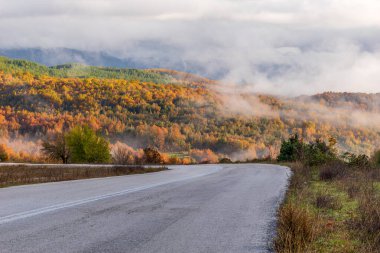 Aspraggeloi köyü yakınlarında sonbahar renkleri olan ormanın sokak manzarası