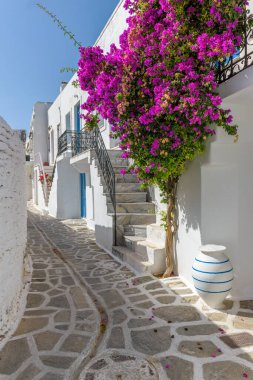Dar bir sokağı, beyazlatılmış evleri ve Parikia, Paros Adası, Yunanistan 'da çiçek açan begonvilleri olan geleneksel Kiklad sokağı..