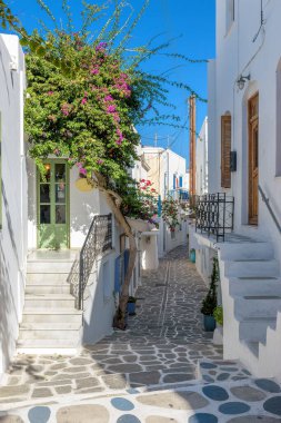 Yunanistan, Paros Adası, Parikia 'da dar sokakları, beyazlatılmış evleri ve çiçek açan begonvilleri olan geleneksel Kiklad sokağı..