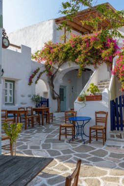 Beyazlatılmış evleri olan geleneksel bir sokak, bir Yunan tavernası ve Prodromos Paros adasında bir bougainvillea 'nın dışı.