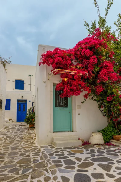 Traditionell Cykladitisk Gränd Med Smal Gata Vitkalkade Hus Och Blommande — Stockfoto