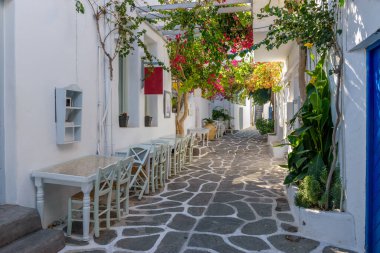 Yunanistan 'ın Naousa Paros adasında dar bir sokak, bir dış mekan, bir Yunan tavernası ve çiçek açan bir bougainvillea ile geleneksel Kiklodik sokak