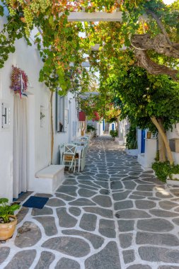 Yunanistan 'ın Naousa Paros adasında dar bir sokak, bir dış mekan, bir Yunan tavernası ve çiçek açan bir bougainvillea ile geleneksel Kiklodik sokak