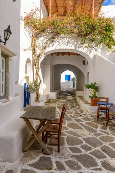 Callejón Tradicional Con Casas Encaladas Una Buganvilla Durante Invierno Isla —  Fotos de Stock