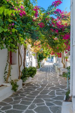 Yunanistan 'ın Naousa Paros adasında dar bir sokak, bir dış mekan, bir Yunan tavernası ve çiçek açan bir bougainvillea ile geleneksel Kiklodik sokak