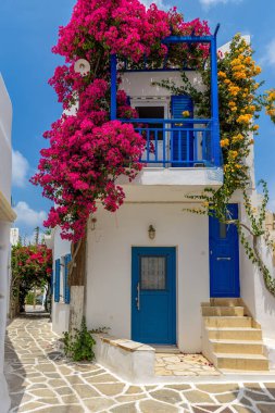 Prodromos Paros Yunanistan 'da çiçek açmış begonvilleri ve beyazlatılmış geleneksel evleri olan Picturesque Caddesi