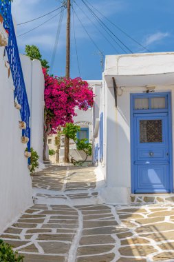 Leş Paros Yunan adasında kocaman bir begonville dolu bir resim sokağı! Beyazlatılmış geleneksel evler mavi kapılı ve çiçekli. !!!