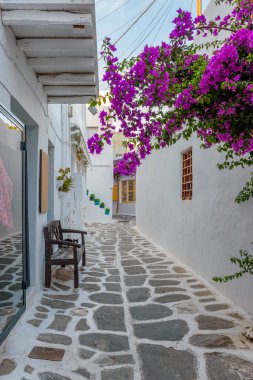 Yunanistan 'ın Naousa Paros adasında dar sokakları, beyazlatılmış mağaza cepheleri ve çiçek açan begonvilleri olan geleneksel Kiklad sokağı..