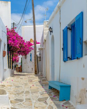 Prodromos Paros 'ta küçük bir sokak, beyazlatılmış geleneksel evler ve çiçek açmış begonvillerle dolu bir Yunan adası. !
