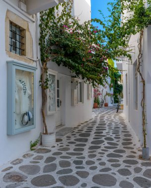 Yunanistan 'ın Parikia, Paros adasında dar bir sokağı, beyaz boyalı mağazaları ve begonvilleri olan geleneksel Kiklad sokağı..