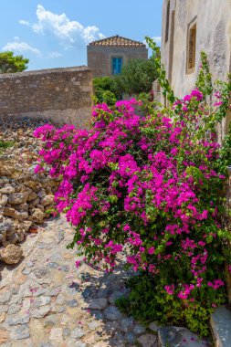 Monemvasia, Lakonia, Peloponnese, Yunanistan 'daki ortaçağ şatosunda dar bir taş sokak ve renkli bir bougainvillea ile geleneksel mimari.