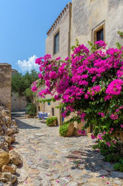 Monemvasia, Lakonia, Peloponnese, Yunanistan 'daki ortaçağ şatosunda dar bir taş sokak ve renkli bir bougainvillea ile geleneksel mimari.