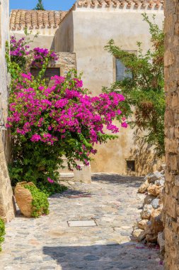 Monemvasia, Lakonia, Peloponnese, Yunanistan 'daki ortaçağ şatosunda dar bir taş sokak ve renkli bir bougainvillea ile geleneksel mimari.