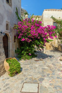 Monemvasia, Lakonia, Peloponnese, Yunanistan 'daki ortaçağ şatosunda dar bir taş sokak ve renkli bir bougainvillea ile geleneksel mimari.