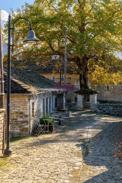 Epirus Zagori Greece风景如画的木瓜村秋天的石街传统建筑 — 图库照片