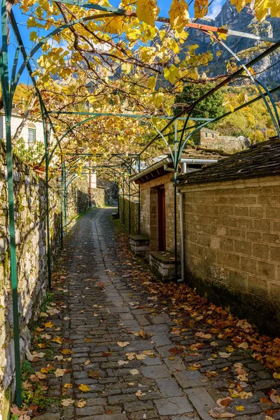 Traditionelle Architektur Während Der Herbstsaison Malerischen Dorf Mikro Papigo Griechenland — Stockfoto