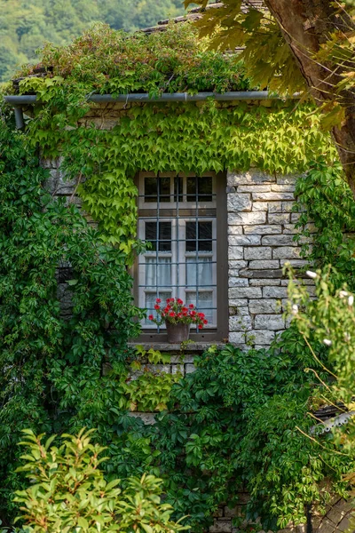 view of traditional architecture  with a window of a stone building surrounded with green leaves during  summer in the picturesque village of papigo , zagori Greece