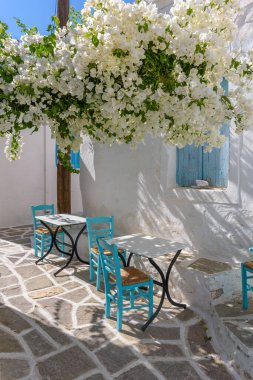 Beyazlatılmış evleri olan geleneksel bir sokak, bir Yunan tavernası ve Prodromos Paros adasında bir bougainvillea 'nın dışı.