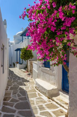 Prodromos Paros Yunanistan 'da çiçek açmış begonvilleri ve beyazlatılmış geleneksel evleri olan Picturesque Caddesi