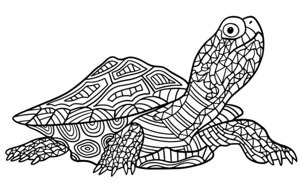 Boyama kitabı için arka planın vektör çizimi, şirin kaplumbağa
