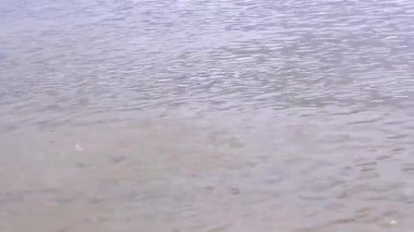 Dinyeper kıyılarında yavaş dalgalar