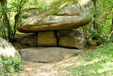 Sonbahar parkı doğası.