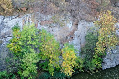 Buki 'deki kanyon Sonbahar nehir taşı