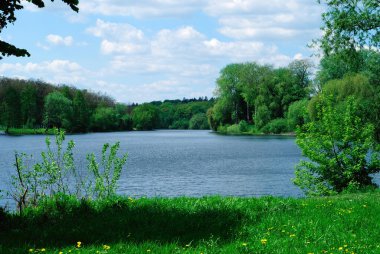 Doğa Parkı Nehri Yeşil Bahar