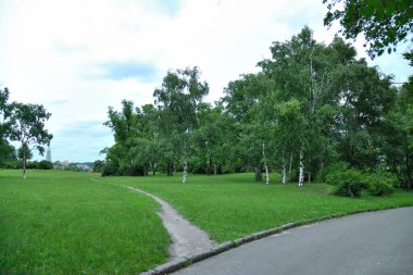 Park doğa yolu arka planda 