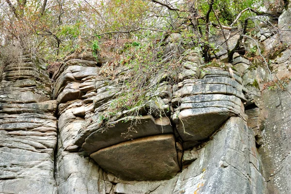 Buki Deki Kanyon Sonbahar Nehir Taşı Ukrayna — Stok fotoğraf