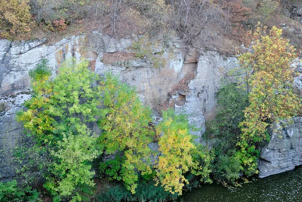 Buki 'deki kanyon Sonbahar nehir taşı