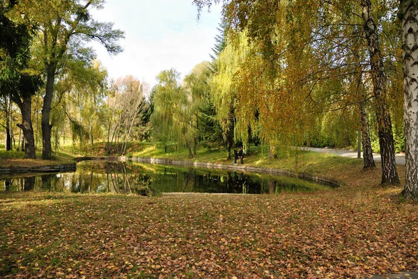 Přírodní Park Březový Rybník Podzimní Odraz Vodě — Stock fotografie
