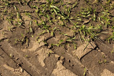Islak zeminde ayak izleri var.