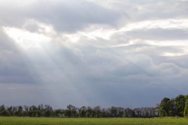 Güneşin ışınları yeşil bir tarlada ve bahar ağaçlarında bulutların arasından geçiyor.