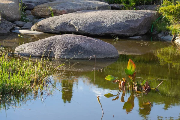 Fiume Pepe Stagno Pietre Estate Giorno Sfondo — Foto Stock