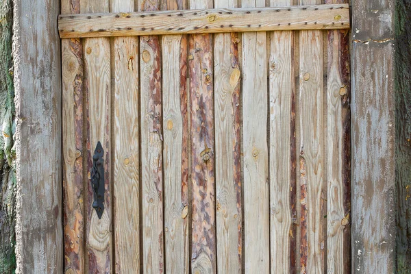 Drewniane Drzwi Żelaznym Uchwytem Tła — Zdjęcie stockowe