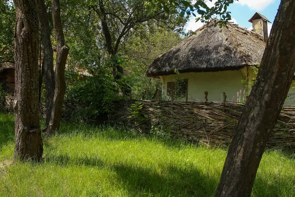 a house, a mud house, a wicker fence, a tree, a Ukrainian village